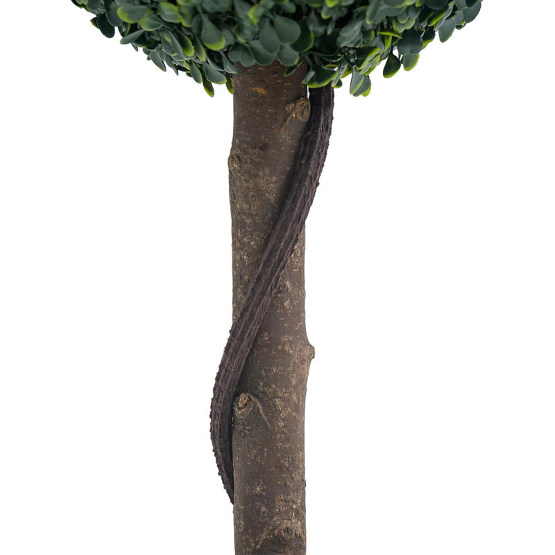 24cm Milan Ball Plant