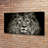 Lion - Wrapped Canvas Print