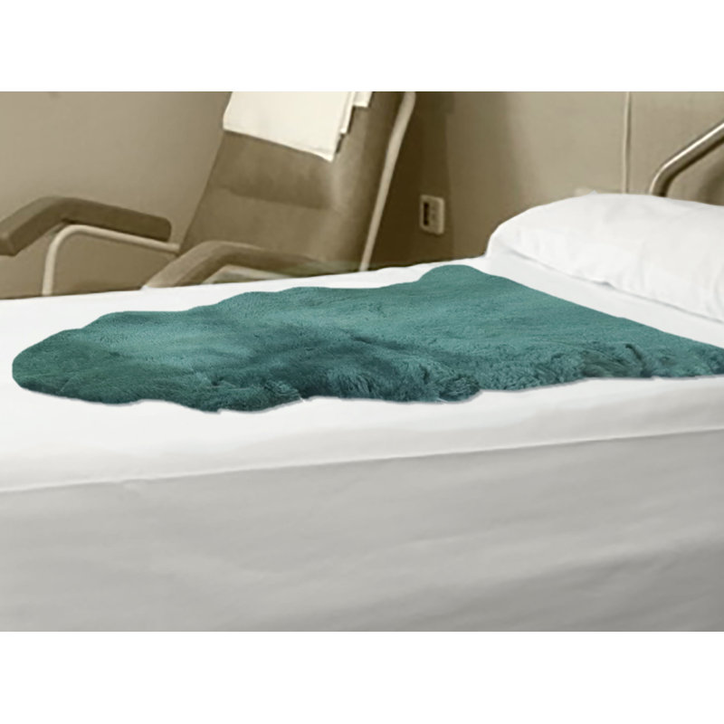 Tapis émeraude 2 pi x 3 pi Novelty Antoneyo