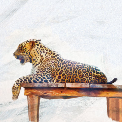 «Relaxing Leopard», reproduction sur toile