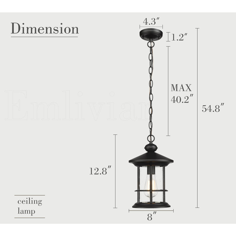 Joshalyn Outdoor Hanging Lantern