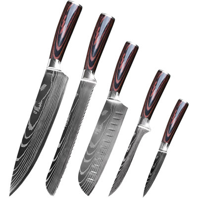 QXXSJ 5 Piece High Carbon Stainless Steel Assorted Knife Set