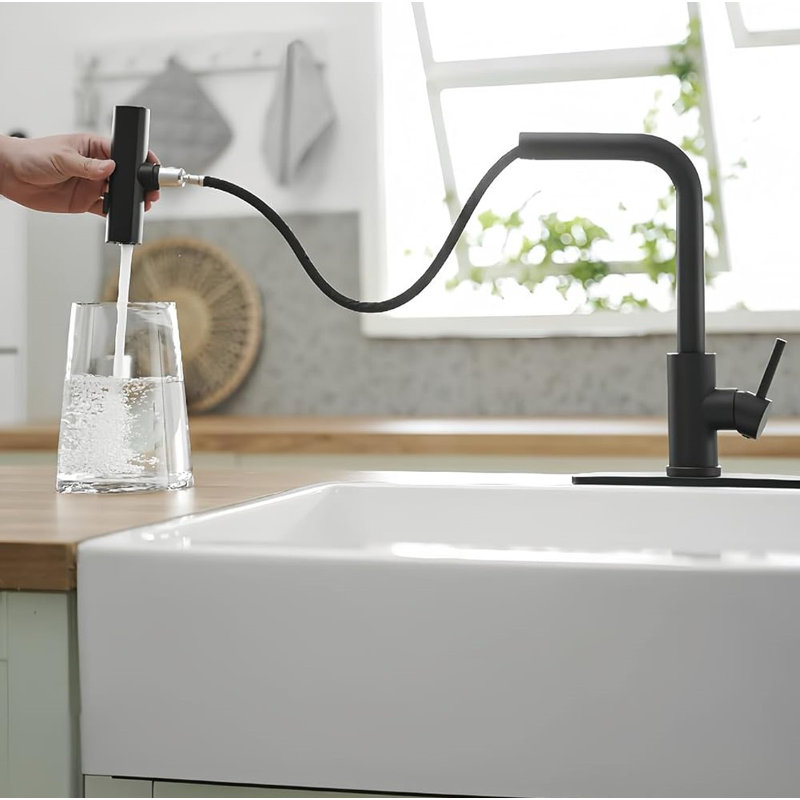 Matte Black Stainless Steel Kitchen Faucet with Pull-out Spray