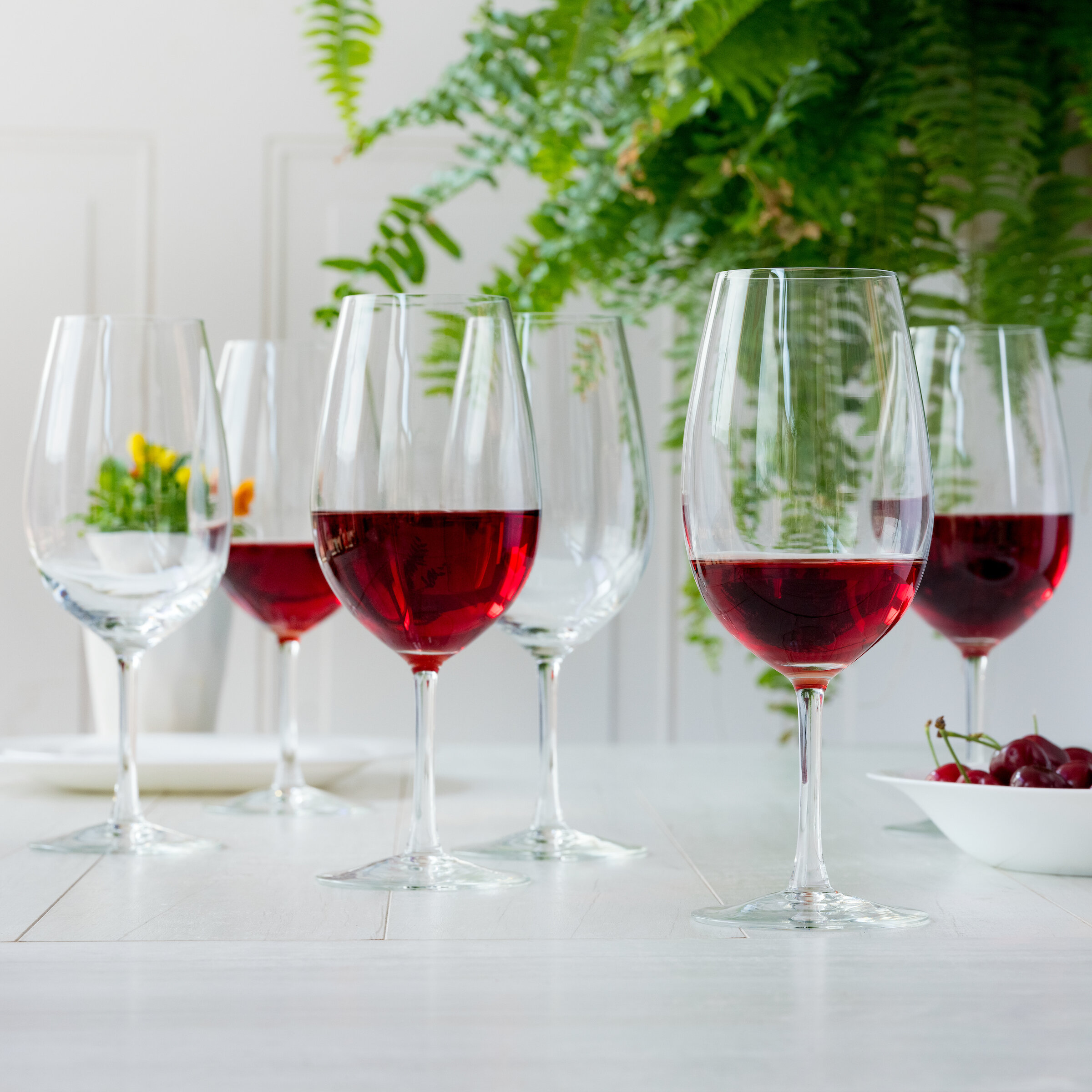 Wayfair Basics 36-Piece All Purpose Wine Glass