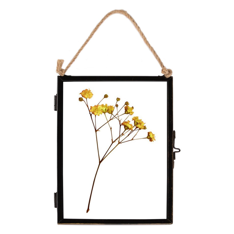 Nicola Spring - Hanging Metal Photo Frames, 5" x 7", Rectangle, 1