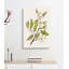 White Flowers by Sarah Featon - Wrapped Canvas Painting-55330601