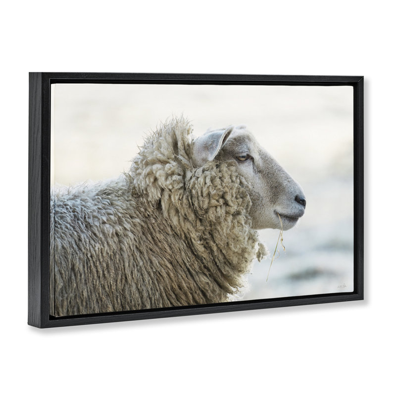 Cadre flottant profond Portrait de mouton, design par Martin Podt, H 21 po x l 31 po, Cadre flottant noir de jais