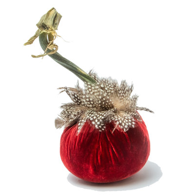 5" Silk Velvet Pumpkin w/Guinea Feather Collar