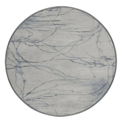 Machine Washable Abstract Gray Area Rug