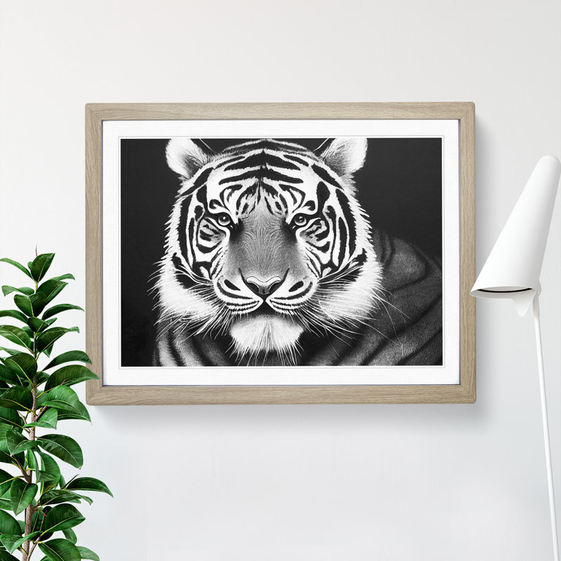 Monochrome Tiger Vol.5 - Framed Print, 46cm H x 64cm W x 2cm D, Oak Framed