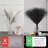 17'' Pampas Grass Plant-955553289