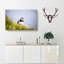 Lone Atlantic Puffin - Wrapped Canvas-55365125