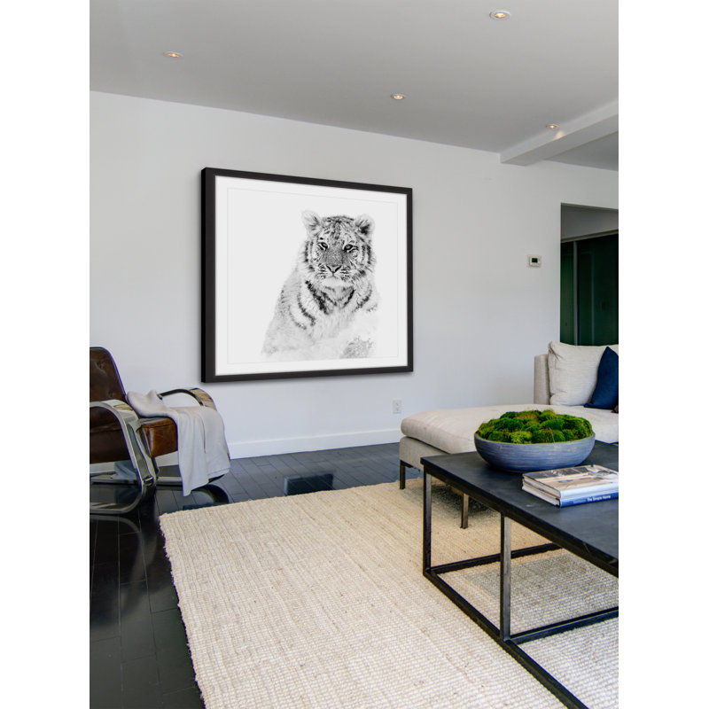 Single Picture Frame Print, 41cm H x 41cm W x 3.81cm D