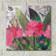  «Poolside Geraniums 1» par Coco Good, art mural en verre acrylique-155477986