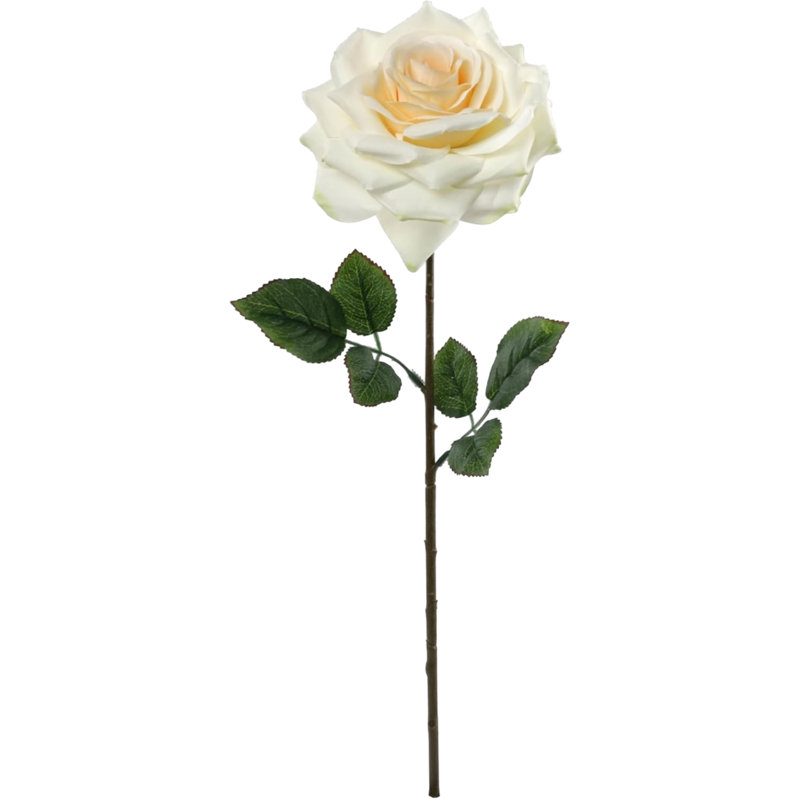 Tige de rose ouverte 20 po - paquet de 4
