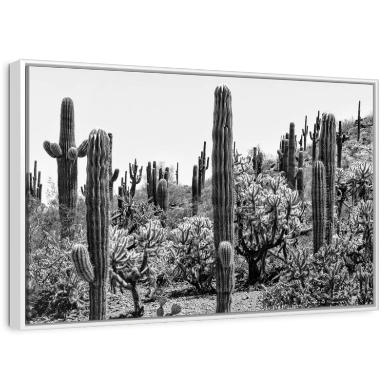 Arizona noir - Cactus étonnant I, Cadre flottant blanc, 46 po x 31 po