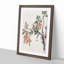 Floral Print by Chen Shizeng - Framed Print-55576459-55576460