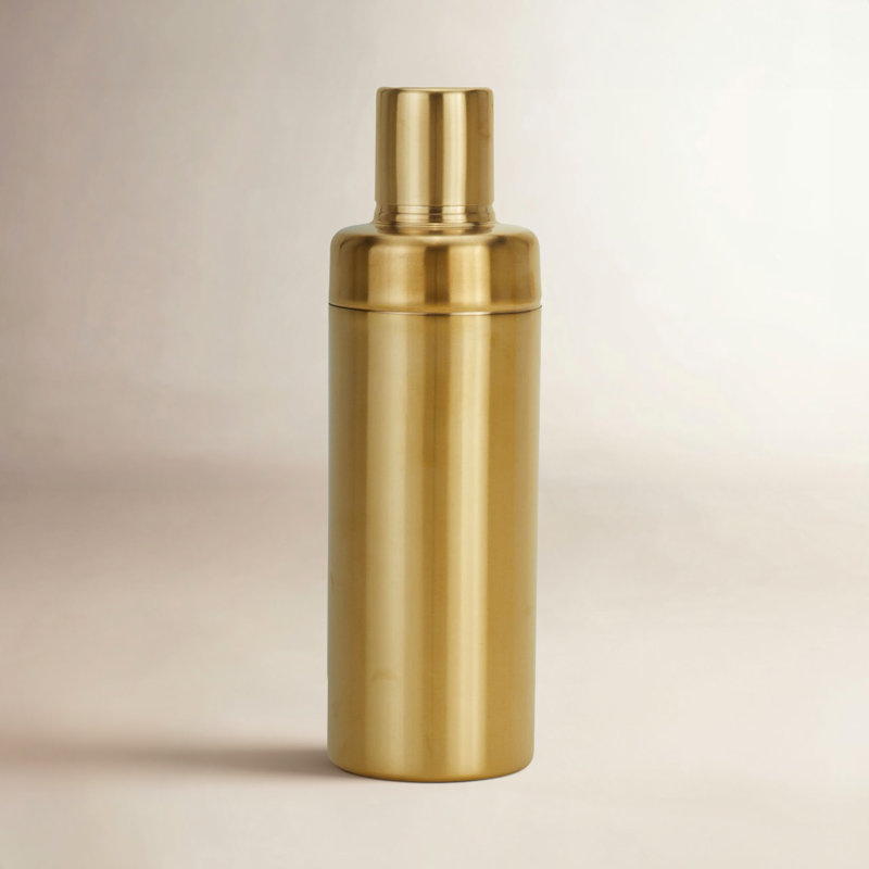 Simple Stainless Steel Shaker