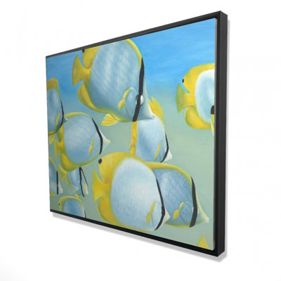 " Butterfly Fishes "
