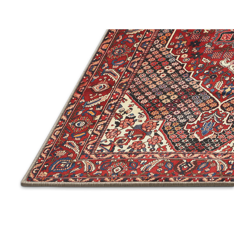 Tapis décoratif rouge de style sud-ouest Chancery, Rectangle 6 pi x 9 pi