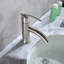 Single Hole Bathroom Faucet with Drain Assembly-20318009