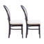 Earnshaw 18.5' H Fully Assembled Solid Beech Wood Side Chair