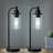  2-pack 16” 3cct Dimmable Cordless Table Lamp With St64 Edison Bulbs And Remote Control