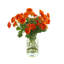 Renoncule artificielle dans un vase