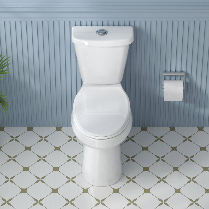 19 in. White Vitreous China Dual Flush Elongated Toilet