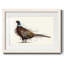 Pheasant Splash 1-1796011497-1796011496