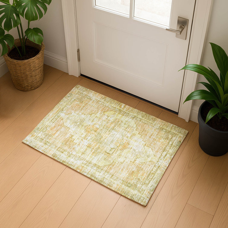 Premium Machine Washable Lucchesi AMF1729 Global Rug