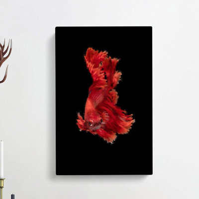 Red Siamese Fighting Fish - Wrapped Canvas