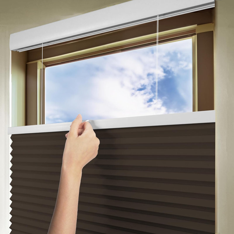 Blackout Cordless Top Down Bottom Up Cellular Shades, Brown, 31"W x 72"L