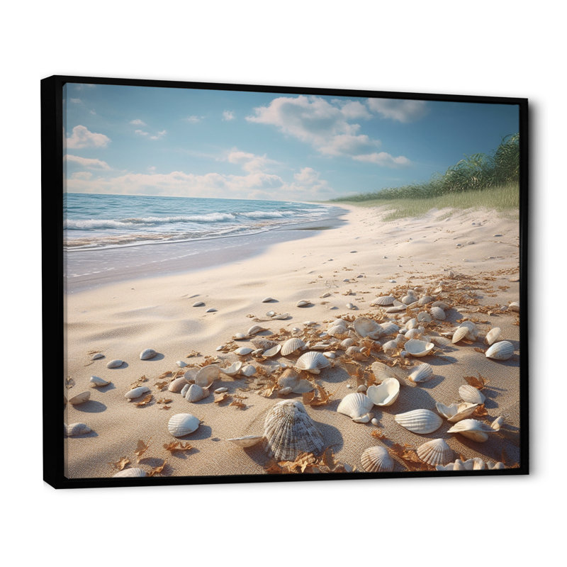 " Seaside Seashell Treasures II ", 24" H x 32" W x 1" D, Black Floater Framed