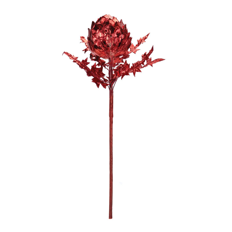 Tige d'artichaut, Rouge