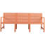 Meuble de patio extérieur en polypropylène 1 place 3 pièces abricot brun, imperméable, résistant à l'usure et au confort ergonomique pour longs chats
