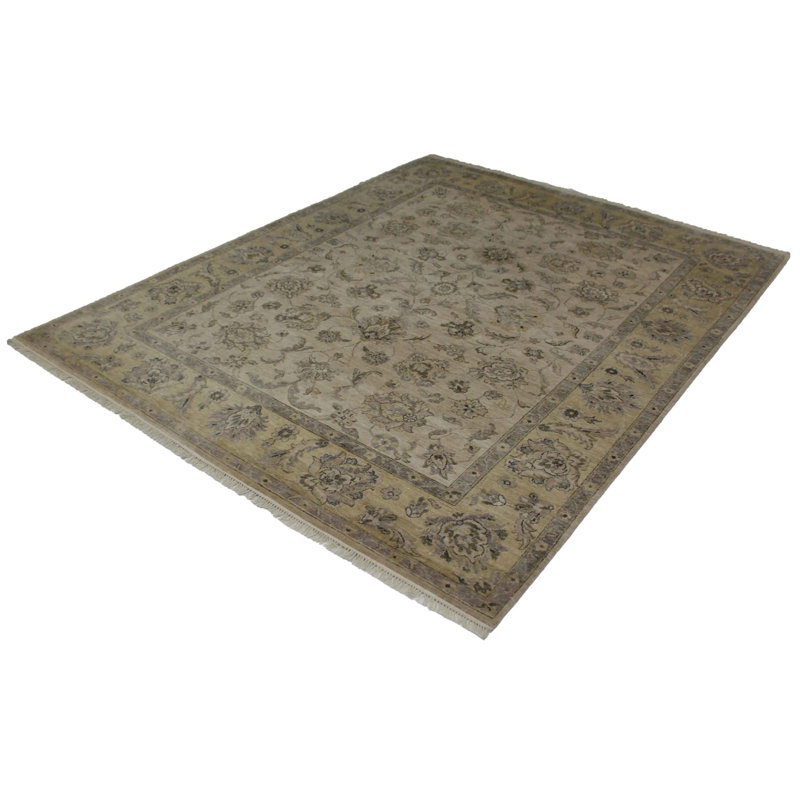 Oriental Area Rug in Ivory