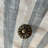 Antique Brass "Celia" Round Cabinet Knob