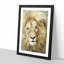 The Face of a Lion - Picture Frame Painting Print-56738871-56738866