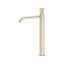 Amahle Single Handle Tall Lavatory Faucet-940078346