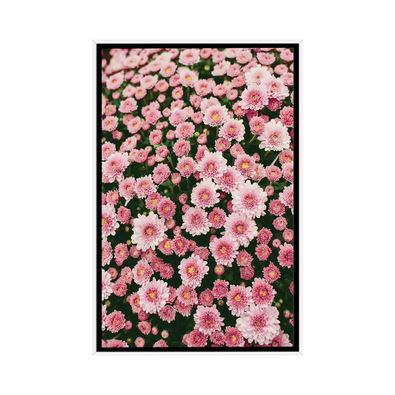 Bloom Abundantly by Olivia Joy StClaire - Print on Canvas