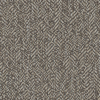 8794 Hazelnut Sample