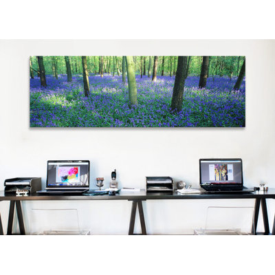 Bluebells panoramique dans une forêt, charfield, gloucestershire, england, reproduction de photo sur toile