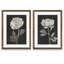 «Black and White Flowers III», ensemble de 2 reproductions d'art encadrées-1201688118-1201688079-1132732569