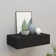 Azariana Floating Shelf with Drawer