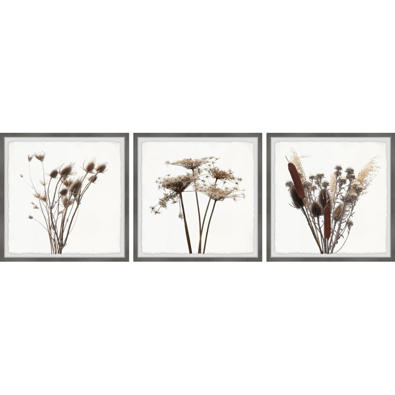 Rustic Dandelion 3 Piece Single Picture Frame Painting, 45" H x 45" W