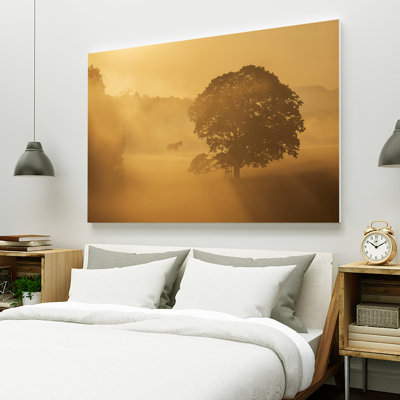 " Autumn Morning " by Ilona