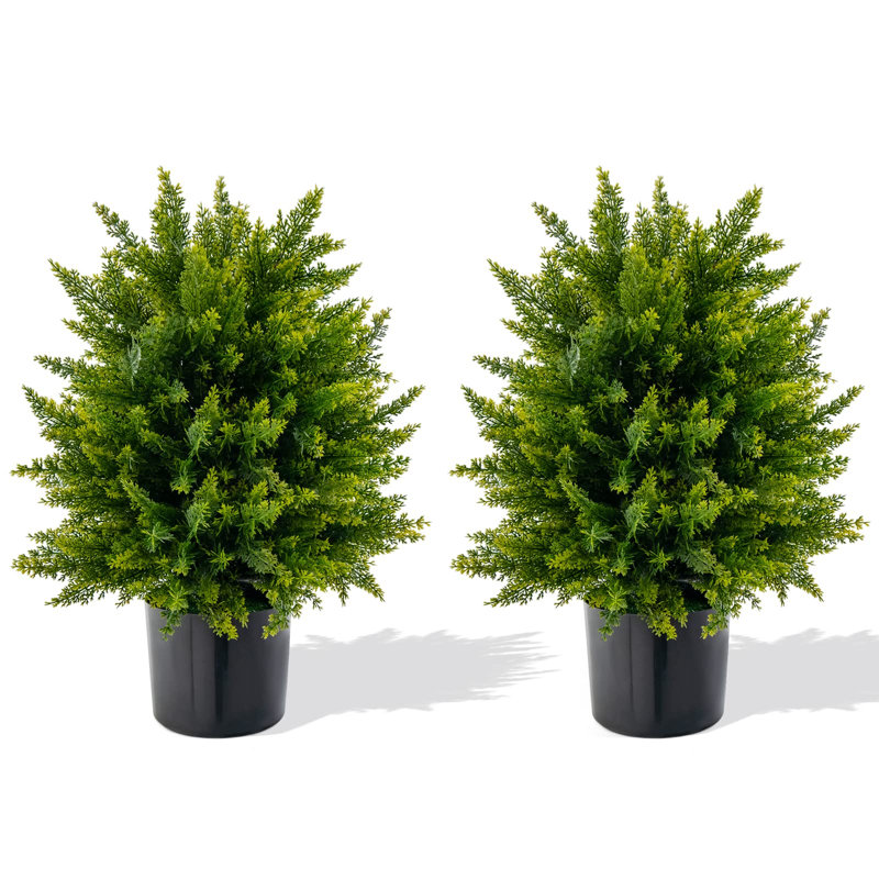 55cm Faux Pine Plant in Pot