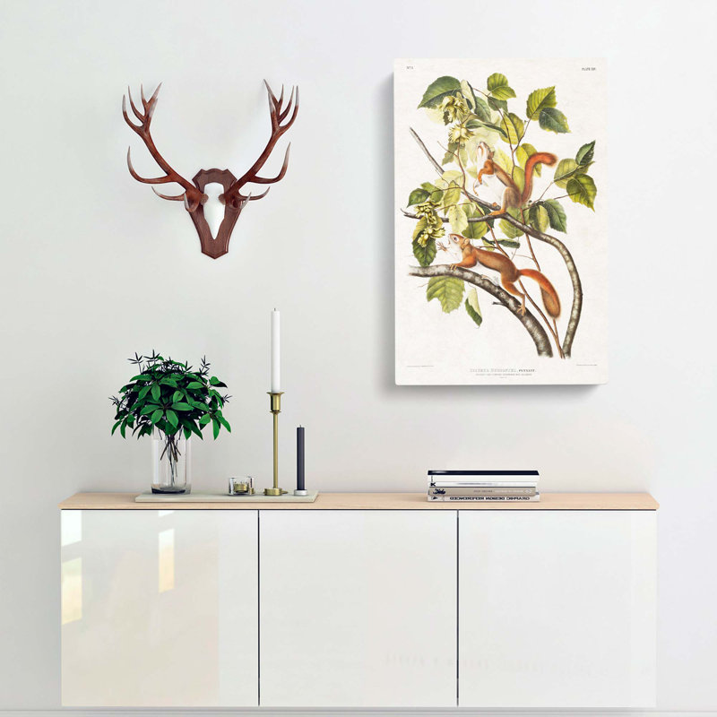 Squirrels by J.W. Audubon - Wrapped Canvas Painting, 76cm H x 50cm W x 3cm D