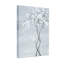 «Plants & Flowers White Blossoms» sur fond gris, reproduction d'art-2058350815